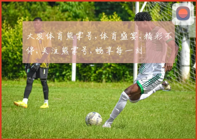 大发体育熊掌号,体育盛宴,精彩不停,关注熊掌号,畅享每一刻